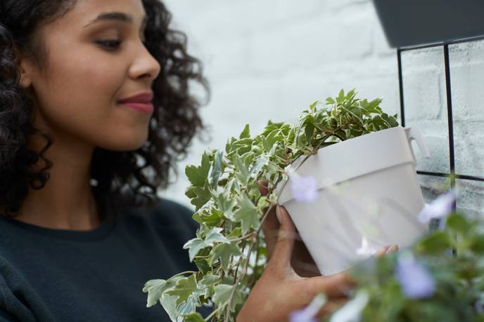 loft urban green wall duo 28cm blanc